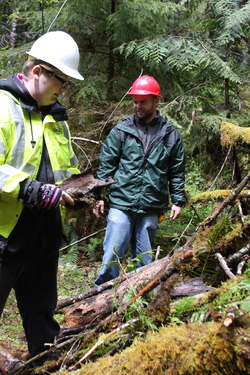 Two people wearing hard hats and observing in the forest