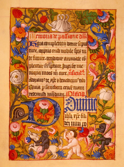 An illuminated manuscript