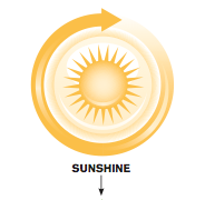 An arrow circling the sun