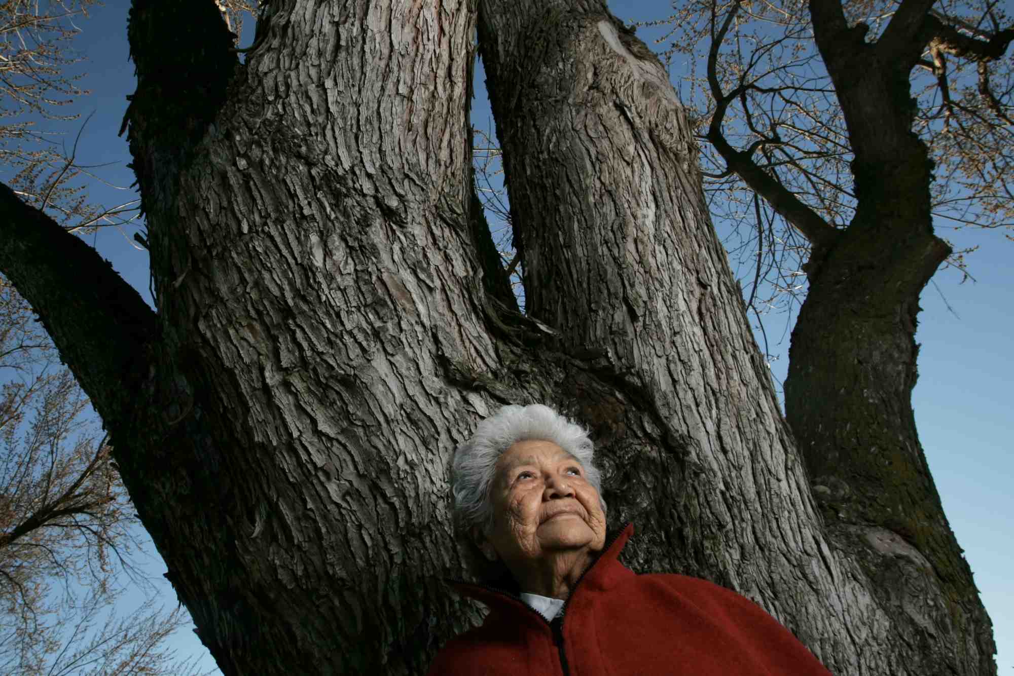 A woman in front of a tree