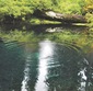 A river and bank with trees