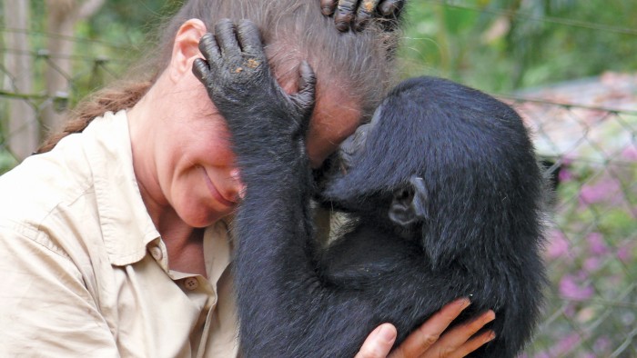 Frances White with bonobo