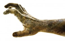 zombie hand